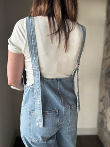 denim button down overall jumpsuit