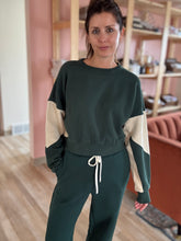 Load image into Gallery viewer, everglades pullover sweatshirt