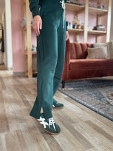 Load image into Gallery viewer, everglades sweatpants